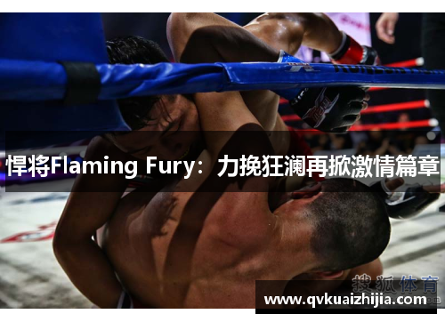 悍将Flaming Fury：力挽狂澜再掀激情篇章